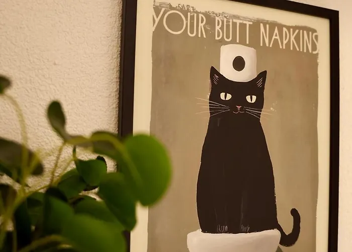 Centrum S Parkovanim Zdarma Zv2